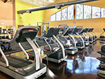 Fitness Connection - Little Falls, MN